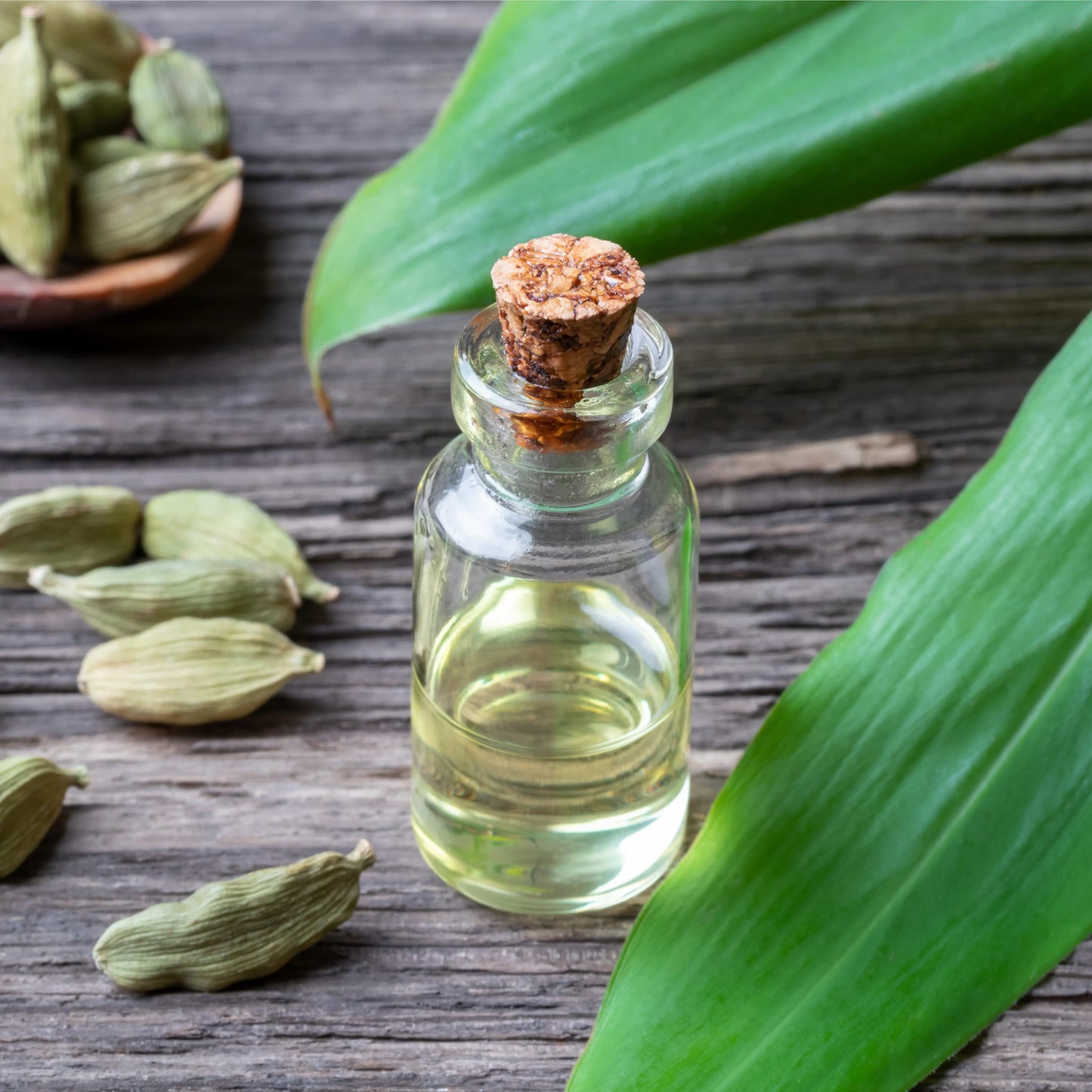 Cardamom_Oil_1